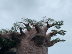 -苏州湾梦幻水世界