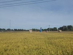 -蟹岛开饭楼