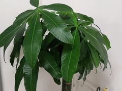 -e城e家家政(怀柔店)