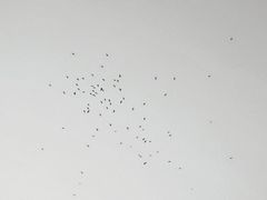 -沈阳站