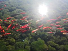 -浙江宾馆·花园餐厅·自助餐厅·茶吧