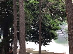 -荔湾湖公园