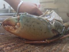 粟米蟹肉羹&nbsp;蟹脚-郑厨私房菜