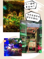 -恐龙探索乐园(磁器口店)