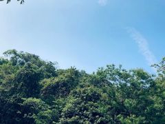 -火炉山森林公园