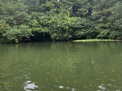 -西湖游船