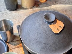 -毛辣果·酸