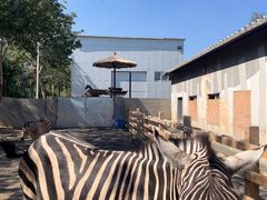 -水上乐园·欢乐世界