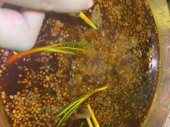 -符淼淼火锅(宽窄巷子店)