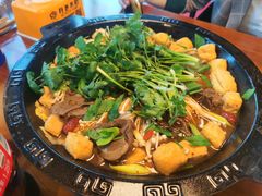 -肚子铺羊蝎子火锅