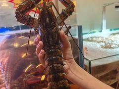 -丰卓会海鲜自助(中润大道店)