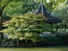 -上海醉白池公园