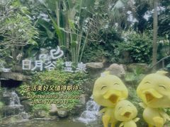 -厦门日月谷温泉渡假村