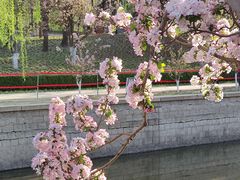 -海棠花溪(元大都城垣遗址公园)