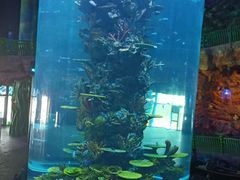 -青岛海都大酒店(黄岛金沙滩井冈山路地铁站店)
