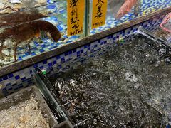 -丽景酒楼·佛山老字号(广佛智城店)