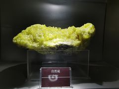 -甘肃地质博物馆