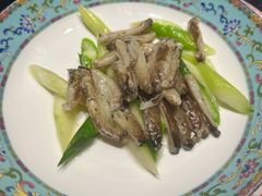 -新光酒家·河豚·海鲜·蟹料理(浦东店)