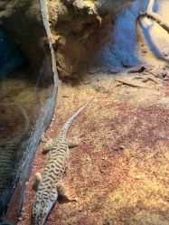 -酷嗒动物文化乐园(cutezoo西溪乐天城店)