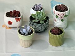 -新航道·雅思托福·Alevel AP·留学考研(光谷校区)