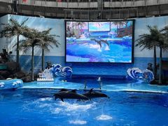 -海合安成都极地海洋公园