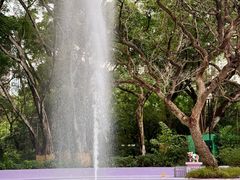-九龙公园