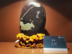-中华赏石园