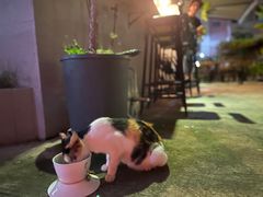 -转山咖啡(松柏社区店)