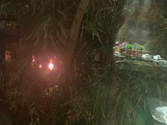 -慢丽江·云南野生菌土鸡锅(西山店)