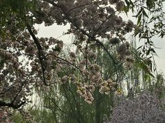 -元大都城垣遗址公园