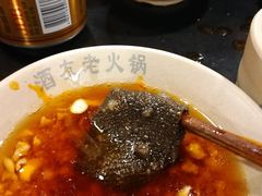 鲜毛肚-酒友老火锅(渝中店)