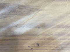 -江城燕子大排档(江汉路步行街店)