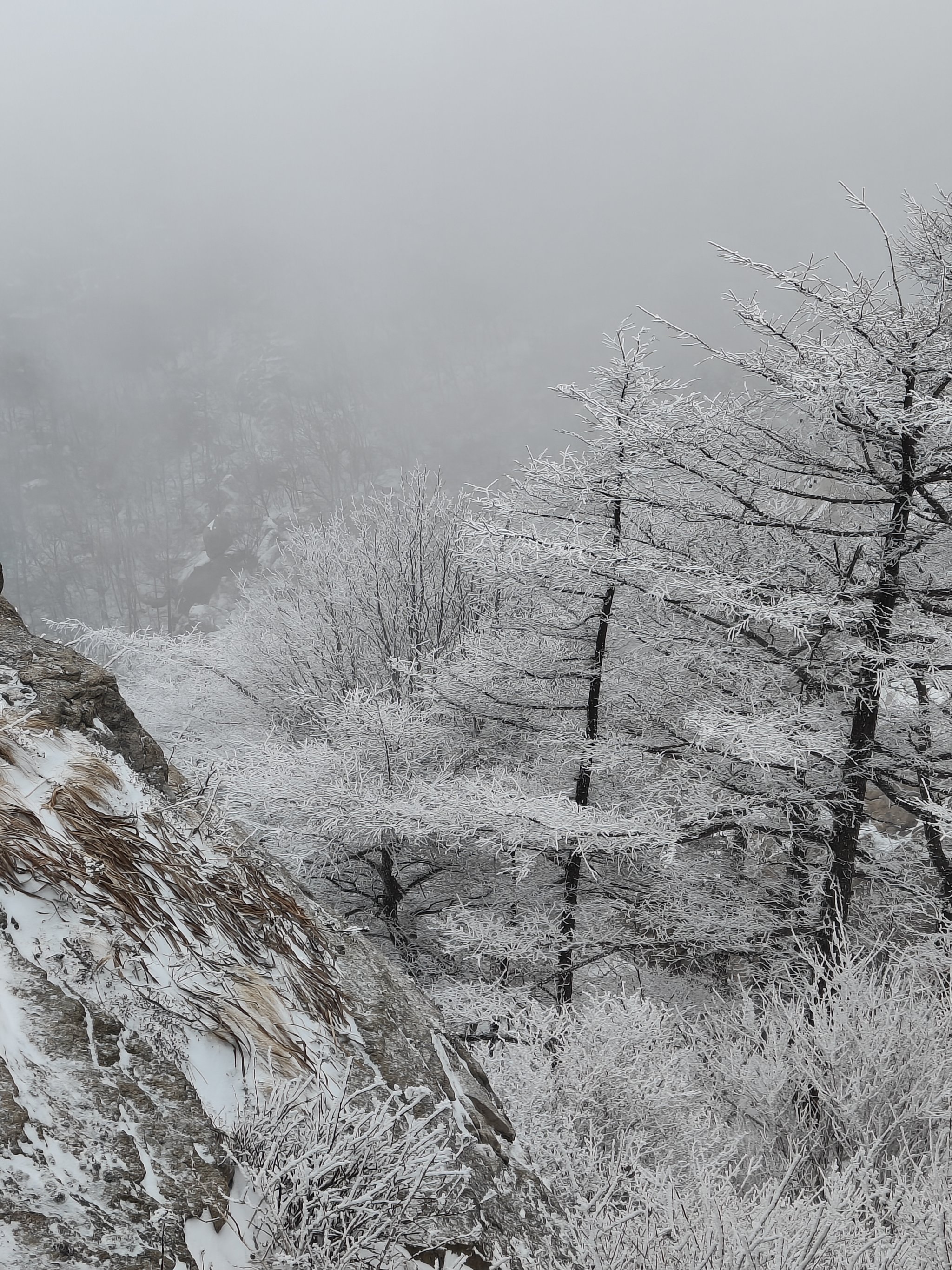 梁野山雪景图片