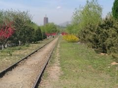 -永定河休闲森林公园