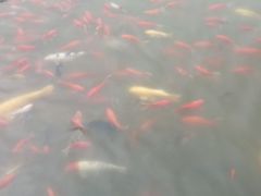 -西宁市人民公园(城西区)
