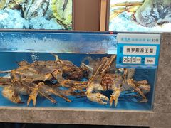 -帝皇海海鲜豆捞(桐泾商务广场店)