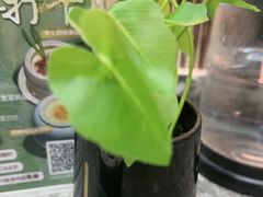 -鱼你相聚·河鲜馆(袁家岭店)