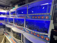 -黄记大闸蟹专卖店·活蟹·醉蟹