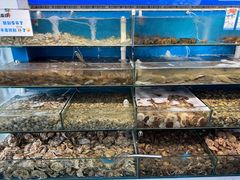 -仙螺岛海鲜自助餐厅(总店)