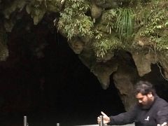 -怀托摩萤火虫洞