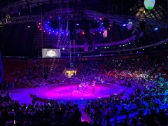 -俄罗斯国家大马戏团