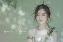 -艾米丽婚纱礼服