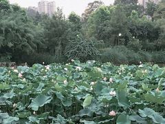 -龙头寺公园