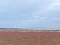 -红海滩国家风景廊道