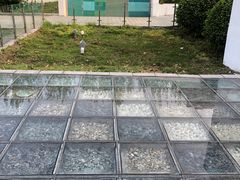 -白塘生态植物园
