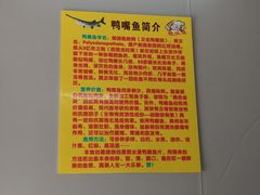 -鸿渡渔庄·特色鸭咀鱼