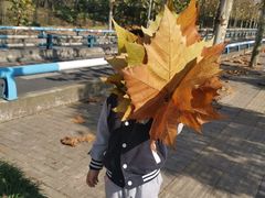 -美心红酒小镇游乐园