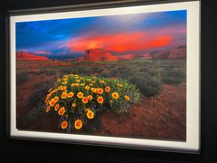 -罗红摄影艺术馆