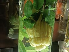 -广东中医药博物馆