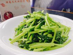蒜蓉茼蒿-湖南文氏湘菜馆(顺河高架路店)